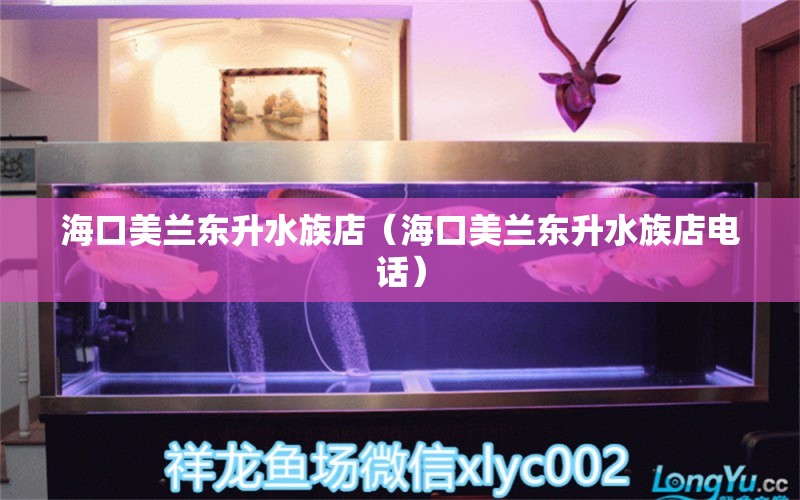 海口美蘭東升水族店（?？诿捞m東升水族店電話）