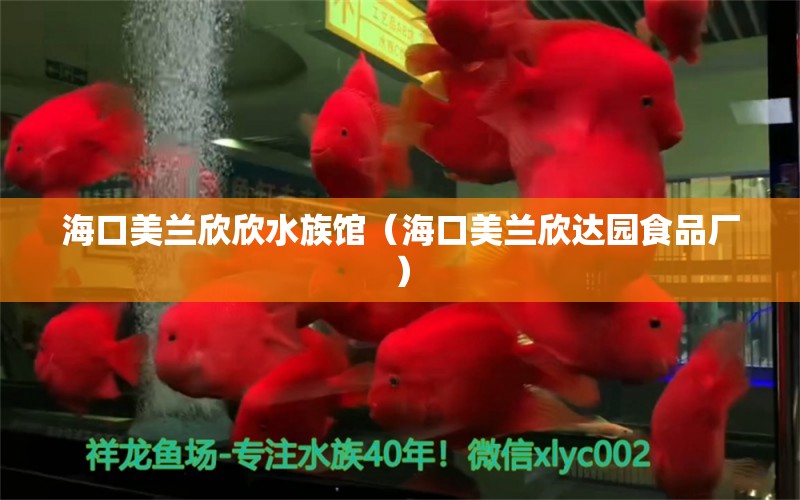 海口美蘭欣欣水族館（?？诿捞m欣達(dá)園食品廠）