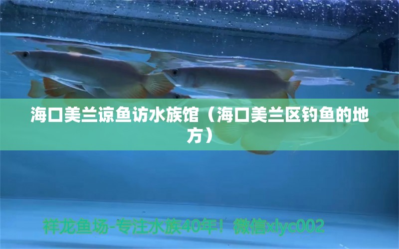 ?？诿捞m諒魚訪水族館（?？诿捞m區(qū)釣魚的地方）