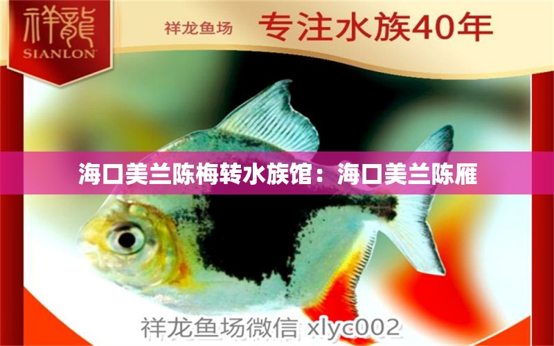 ?？诿捞m陳梅轉水族館：海口美蘭陳雁 全國水族館企業(yè)名錄