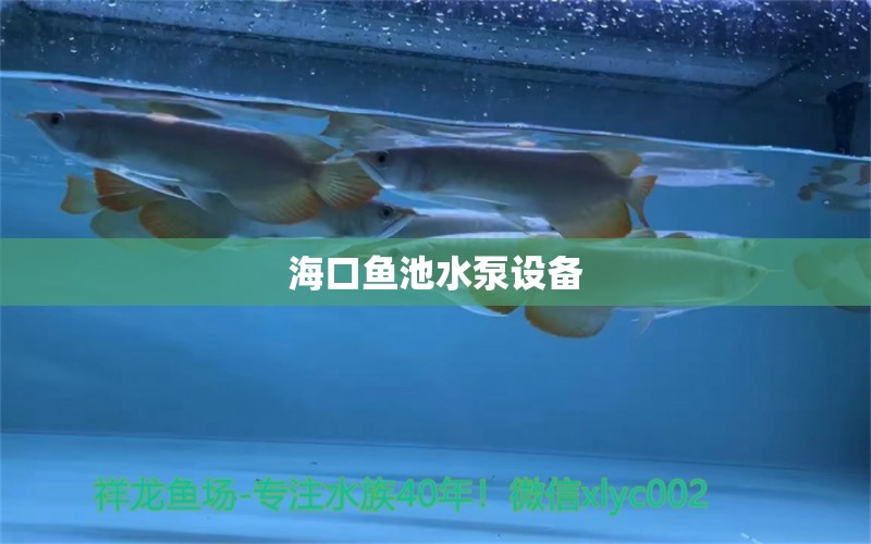 ?？隰~(yú)池水泵設(shè)備 廣州水族器材濾材批發(fā)市場(chǎng)