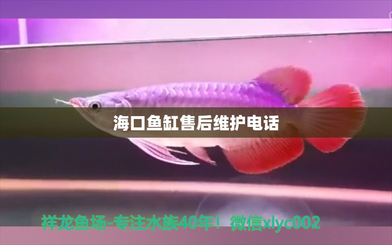 ?？隰~缸售后維護電話 其他品牌魚缸