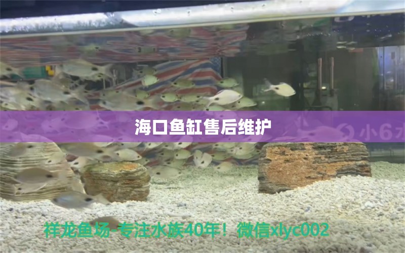 海口魚缸售后維護(hù)