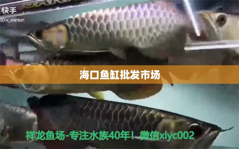 海口魚缸批發(fā)市場(chǎng) 其他品牌魚缸