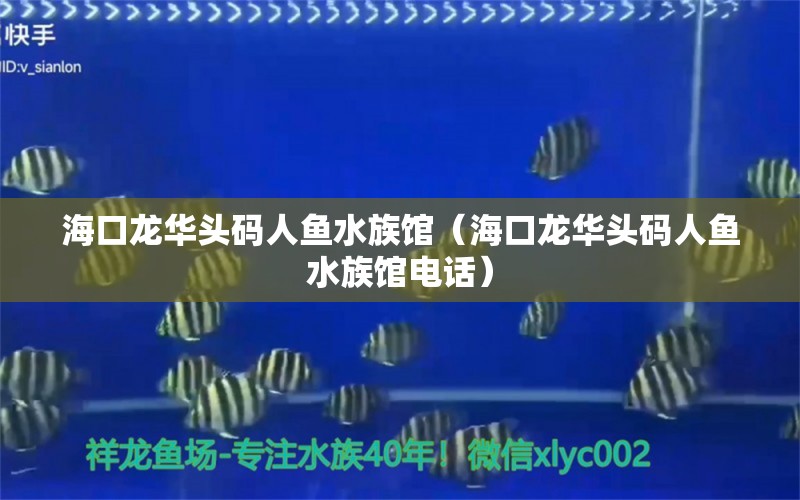 ?？邶埲A頭碼人魚水族館（?？邶埲A頭碼人魚水族館電話） 全國水族館企業(yè)名錄