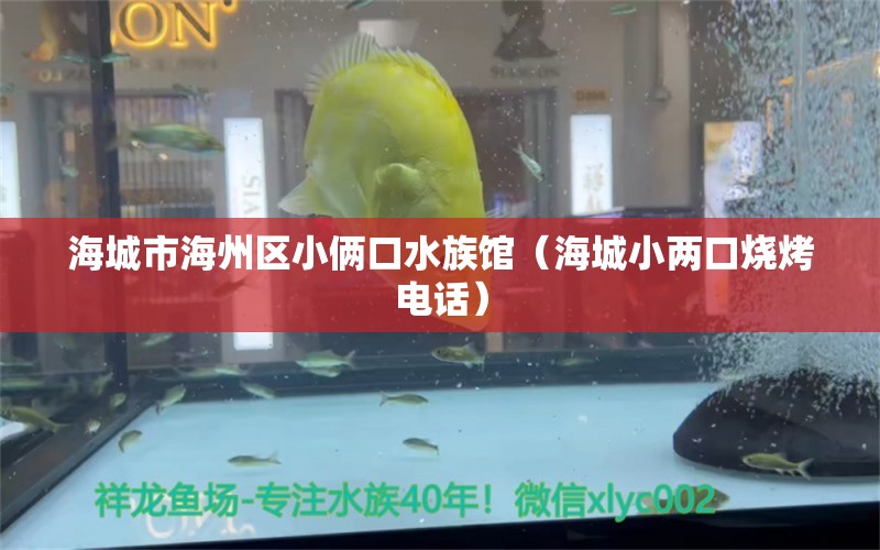 海城市海州區(qū)小倆口水族館（海城小兩口燒烤電話）