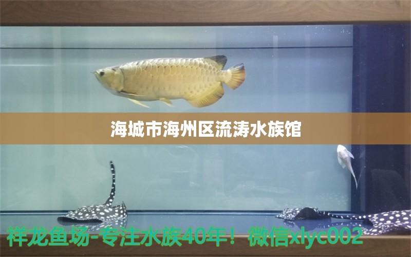 海城市海州區(qū)流濤水族館