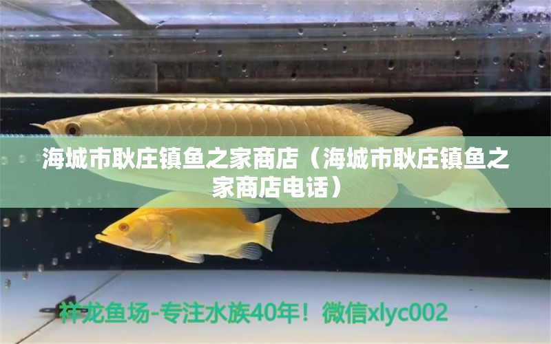 海城市耿莊鎮(zhèn)魚之家商店（海城市耿莊鎮(zhèn)魚之家商店電話） 全國水族館企業(yè)名錄