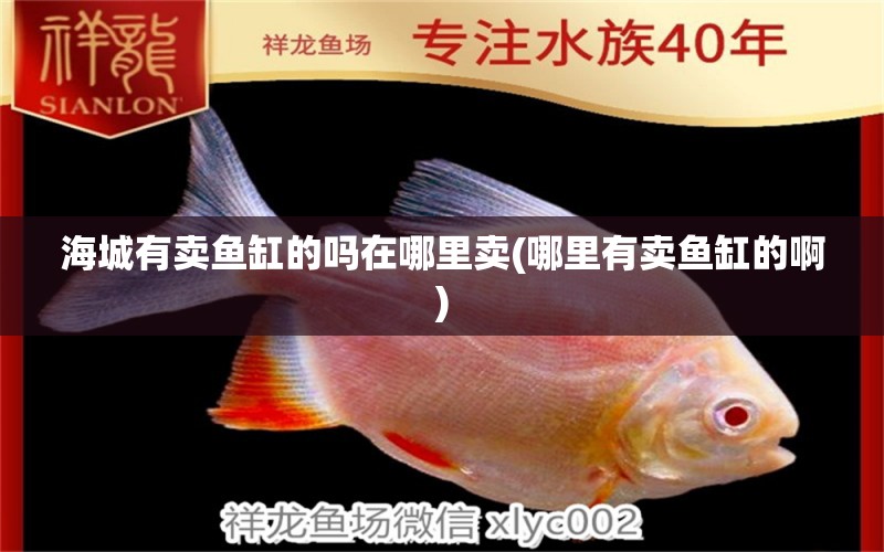 海城有賣魚缸的嗎在哪里賣(哪里有賣魚缸的啊) 養(yǎng)魚知識