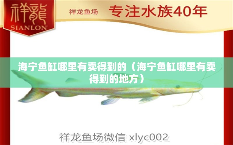 海寧魚(yú)缸哪里有賣(mài)得到的（海寧魚(yú)缸哪里有賣(mài)得到的地方） 皇冠黑白魟魚(yú)