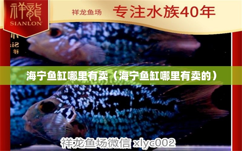 海寧魚缸哪里有賣（海寧魚缸哪里有賣的）