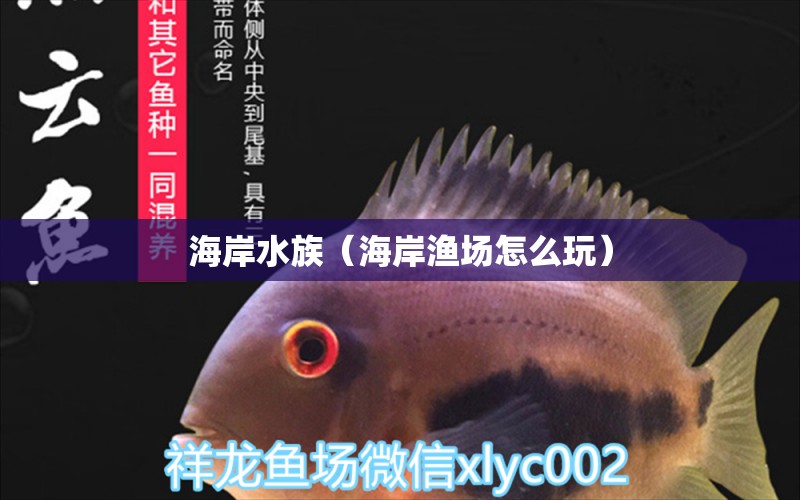 海岸水族（海岸漁場(chǎng)怎么玩） 全國水族館企業(yè)名錄