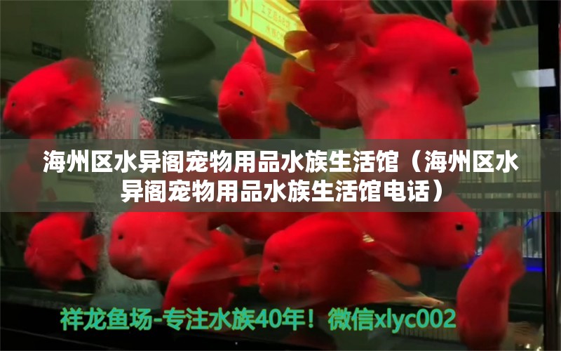 海州區(qū)水異閣寵物用品水族生活館（海州區(qū)水異閣寵物用品水族生活館電話）