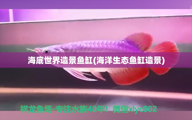 海底世界造景魚缸(海洋生態(tài)魚缸造景) 金三間魚