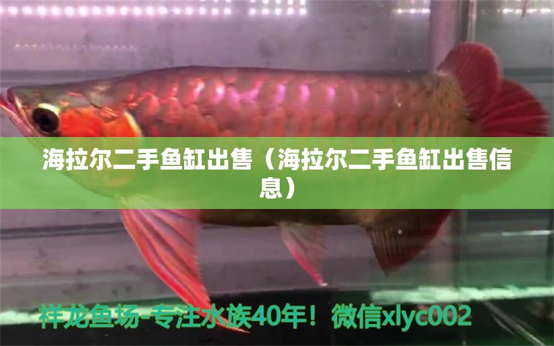 海拉爾二手魚缸出售（海拉爾二手魚缸出售信息） 祥龍水族醫(yī)院