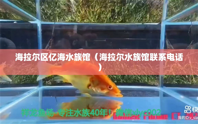 海拉爾區(qū)億海水族館（海拉爾水族館聯(lián)系電話）