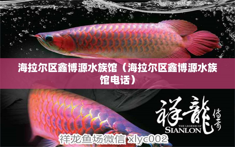 海拉爾區(qū)鑫博源水族館（海拉爾區(qū)鑫博源水族館電話） 全國水族館企業(yè)名錄