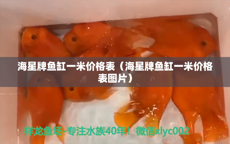 海星牌魚缸一米價格表（海星牌魚缸一米價格表圖片） 觀賞魚市場（混養(yǎng)魚）