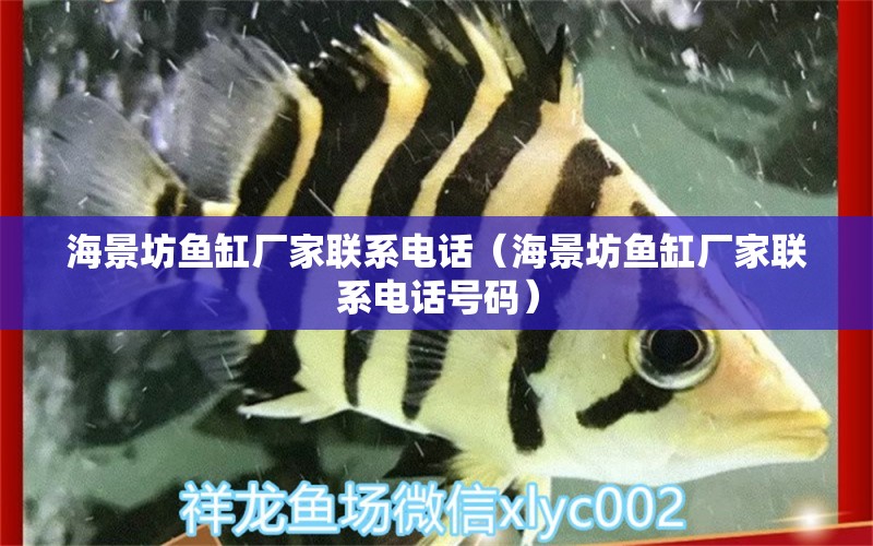 海景坊魚(yú)缸廠家聯(lián)系電話（海景坊魚(yú)缸廠家聯(lián)系電話號(hào)碼）