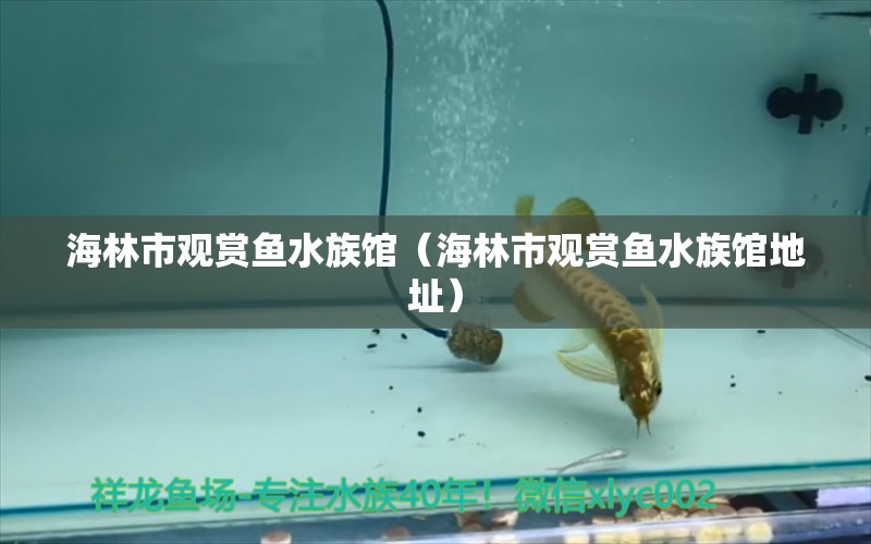 海林市觀賞魚水族館（海林市觀賞魚水族館地址）