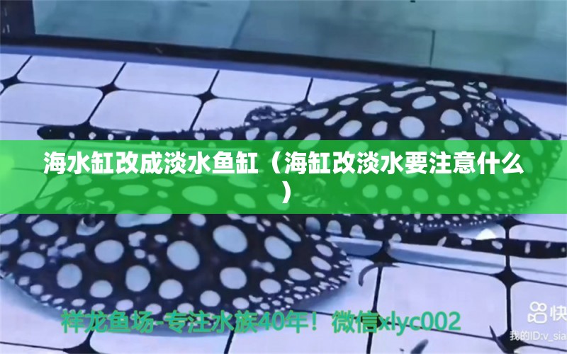 海水缸改成淡水魚缸（海缸改淡水要注意什么） 水族燈（魚缸燈）