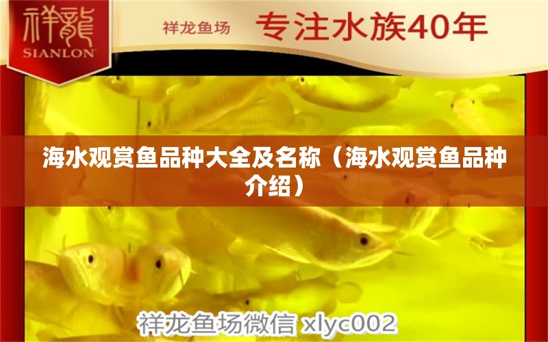 海水觀賞魚品種大全及名稱（海水觀賞魚品種介紹） 孵化器