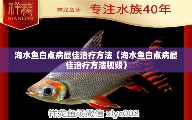 海水魚白點(diǎn)病最佳治療方法（海水魚白點(diǎn)病最佳治療方法視頻）