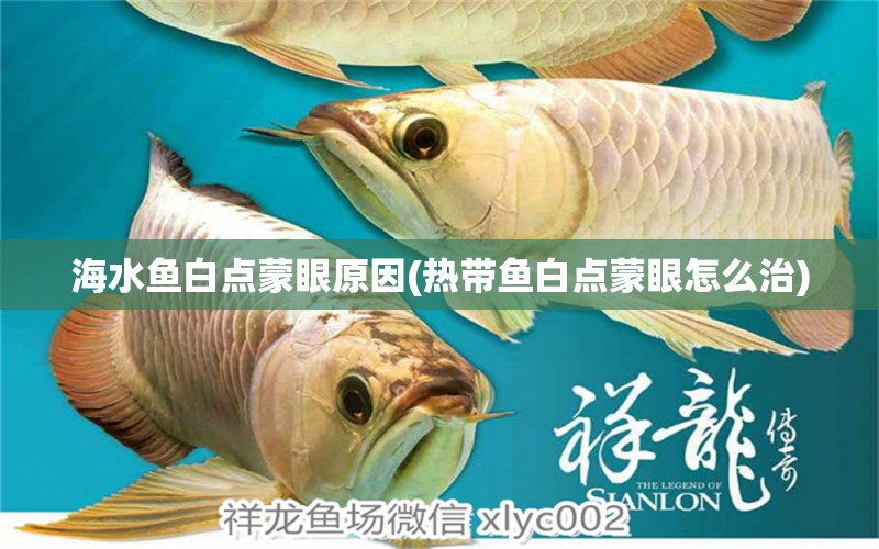 海水魚白點(diǎn)蒙眼原因(熱帶魚白點(diǎn)蒙眼怎么治) 海水魚