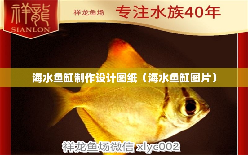 海水魚(yú)缸制作設(shè)計(jì)圖紙（海水魚(yú)缸圖片） 觀賞魚(yú)批發(fā)