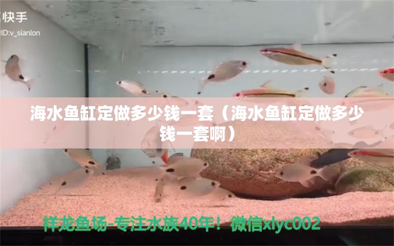 海水魚缸定做多少錢一套（海水魚缸定做多少錢一套啊）