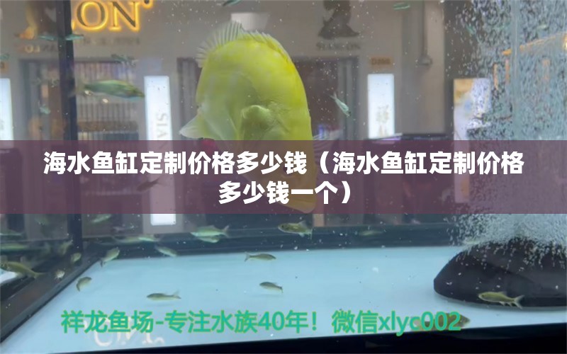 海水魚缸定制價格多少錢（海水魚缸定制價格多少錢一個）