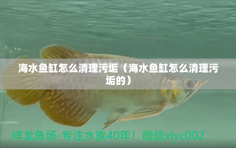 海水魚缸怎么清理污垢（海水魚缸怎么清理污垢的） 海水魚