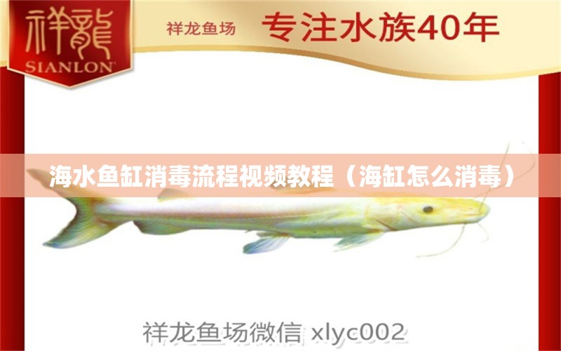 海水魚缸消毒流程視頻教程（海缸怎么消毒）