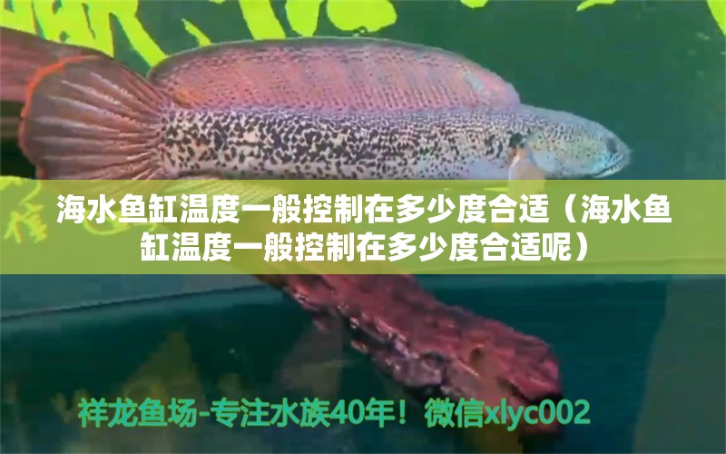 海水魚缸溫度一般控制在多少度合適（海水魚缸溫度一般控制在多少度合適呢）