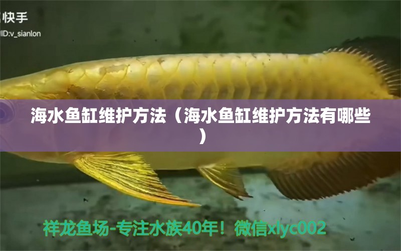 海水魚缸維護方法（海水魚缸維護方法有哪些）