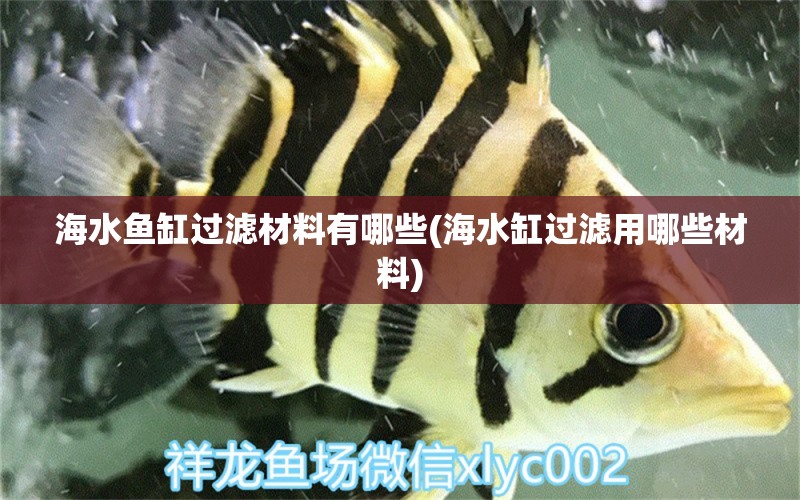 海水魚缸過濾材料有哪些(海水缸過濾用哪些材料) 海水魚