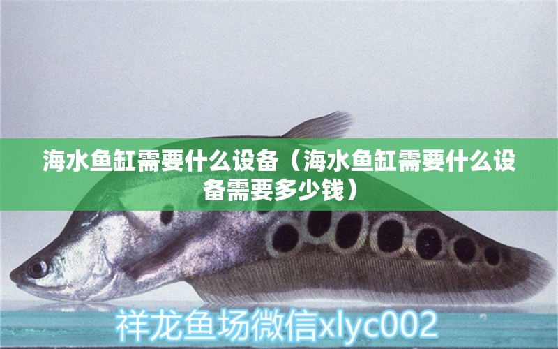 海水魚(yú)缸需要什么設(shè)備（海水魚(yú)缸需要什么設(shè)備需要多少錢）