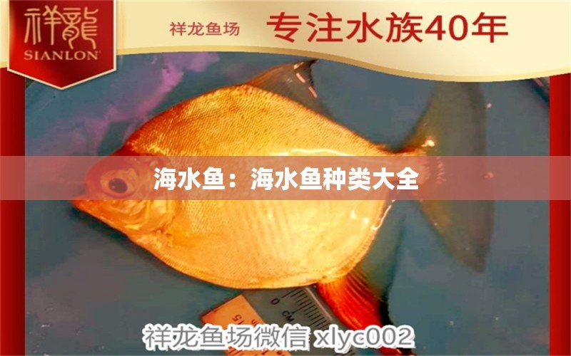 海水魚：海水魚種類大全