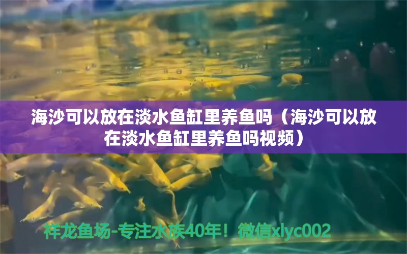 海沙可以放在淡水魚缸里養(yǎng)魚嗎（海沙可以放在淡水魚缸里養(yǎng)魚嗎視頻）