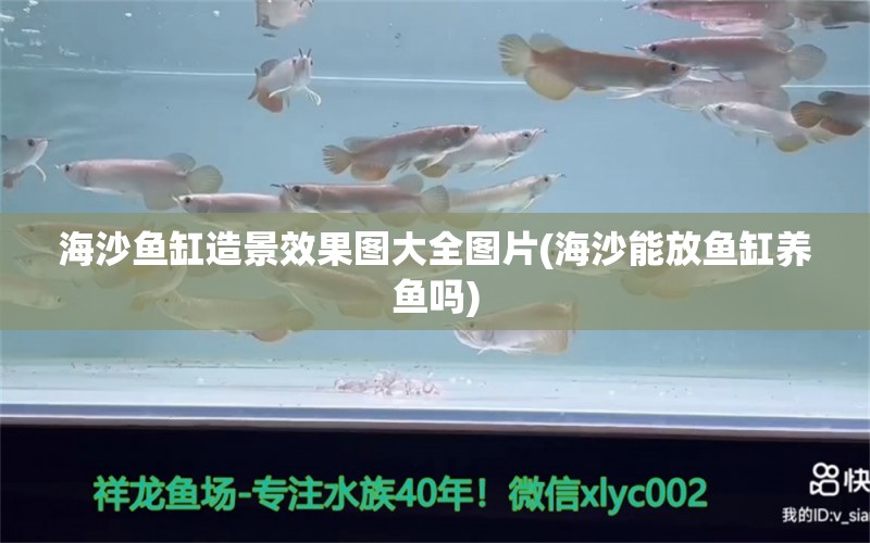 海沙魚(yú)缸造景效果圖大全圖片(海沙能放魚(yú)缸養(yǎng)魚(yú)嗎) 白化火箭 第1張