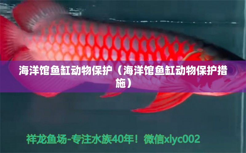 海洋館魚缸動物保護(hù)（海洋館魚缸動物保護(hù)措施）