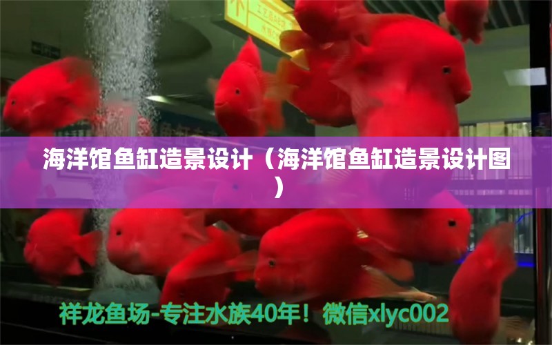 海洋館魚缸造景設(shè)計（海洋館魚缸造景設(shè)計圖）