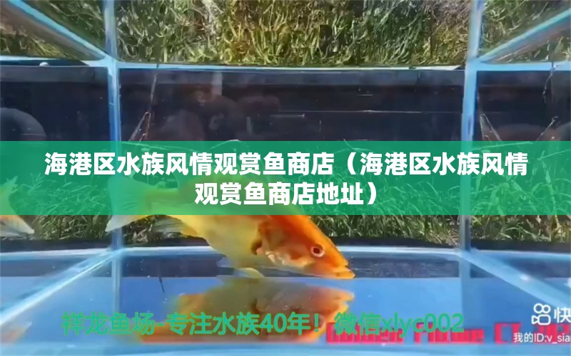 海港區(qū)水族風(fēng)情觀賞魚商店（海港區(qū)水族風(fēng)情觀賞魚商店地址）