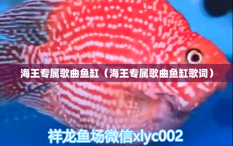 海王專屬歌曲魚缸（海王專屬歌曲魚缸歌詞） 觀賞魚市場（混養(yǎng)魚）