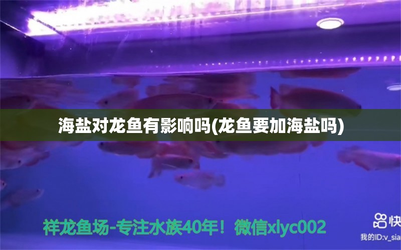 海鹽對龍魚有影響嗎(龍魚要加海鹽嗎)