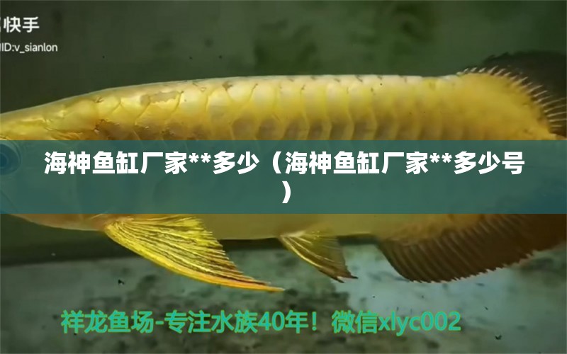 海神魚缸廠家**多少（海神魚缸廠家**多少號）