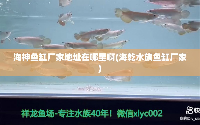 海神魚缸廠家地址在哪里啊(海乾水族魚缸廠家) 硝化細(xì)菌