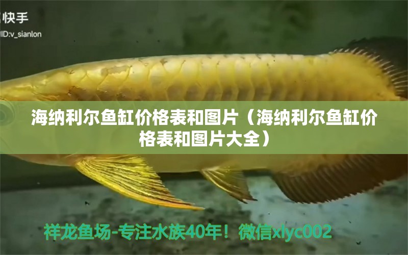 海納利爾魚缸價格表和圖片（海納利爾魚缸價格表和圖片大全）