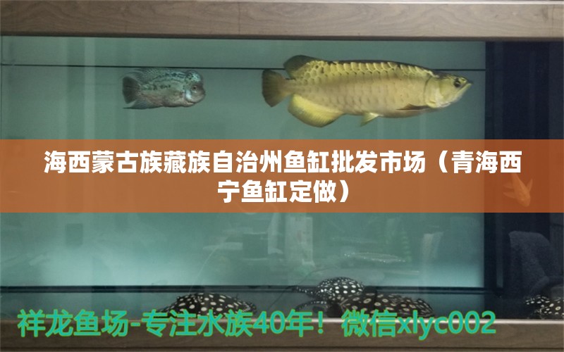 海西蒙古族藏族自治州魚缸批發(fā)市場（青海西寧魚缸定做）