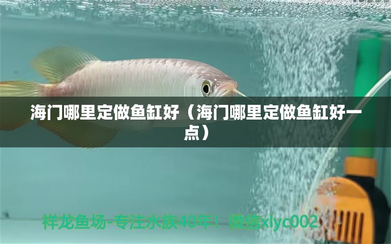 海門哪里定做魚缸好（海門哪里定做魚缸好一點） 祥龍水族醫(yī)院